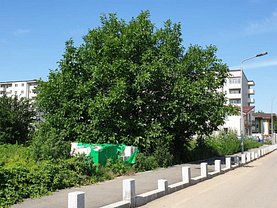 Teren constructii de vânzare, în Bucureşti, zona Berceni