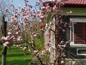 Casa de vânzare 2 camere, în Runcu