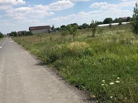Teren agricol de vânzare, în Cornetu, zona Sud