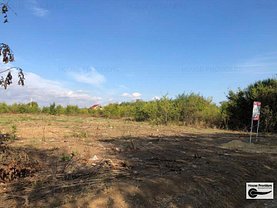 Teren construcţii de vânzare în Branesti