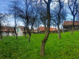 Casa de vânzare 3 camere, în Braşov, zona Exterior Est