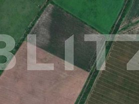 Teren agricol de vânzare, în Timişoara