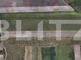 Teren constructii de vânzare, în Timişoara