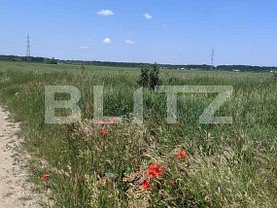 Teren agricol de vânzare în Timisoara, Lugojului
