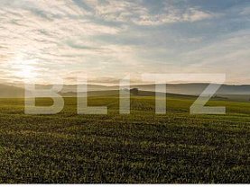 Teren agricol de vânzare, în Timisoara