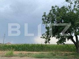 Teren agricol de vânzare, în Oradea, zona Exterior Vest