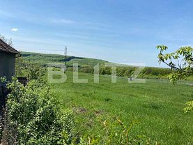 Teren agricol de vânzare în Betfia