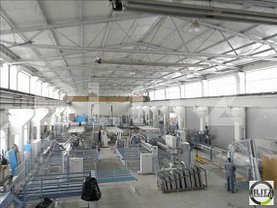 Vânzare spaţiu industrial