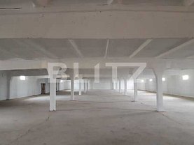 Închiriere spaţiu industrial