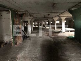 Închiriere spaţiu industrial