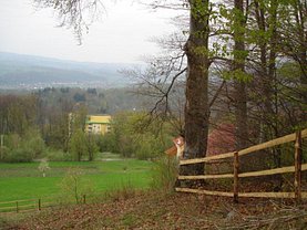 Teren constructii de vânzare, în Sovata