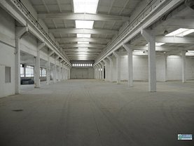 Închiriere spaţiu industrial în Targu Mures, Depozite