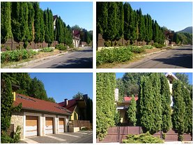 Casa 7 camere în Baia Mare, Nord-Est