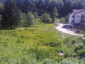 Teren padure de vânzare, în Rasnov