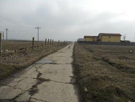 Licitaţie teren agricol, în Bragadiru, zona Haliu