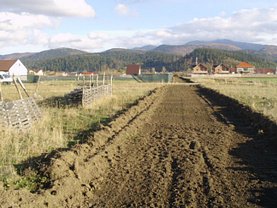 Licitaţie teren agricol, în Cristian