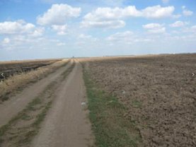 Licitaţie teren agricol, în Gradistea