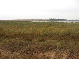 Teren agricol de vânzare în 23 August