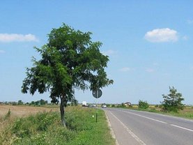 Licitaţie teren agricol, în Mihailesti