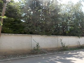 Licitaţie teren padure, în Voluntari, zona Central