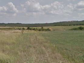 Licitaţie teren agricol, în Paleu