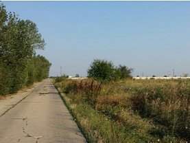 Licitaţie teren agricol, în Tancabesti