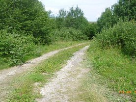 Teren construcţii de vânzare în Miercurea-Ciuc, Jigodin