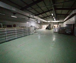 Închiriere spaţiu industrial