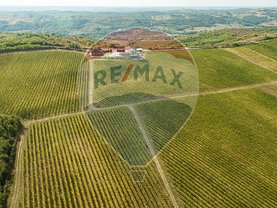 Teren agricol de vânzare, în Dragasani, zona Periferie