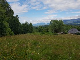Teren faneata de vânzare, în Bran
