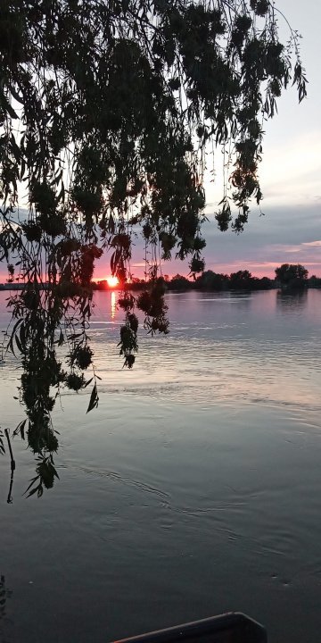 Cabana Delta Dunării, Crisan