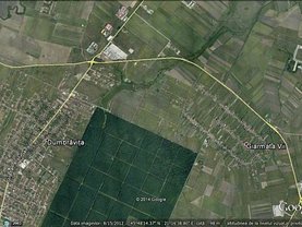 Teren agricol de vânzare, în Dumbrăviţa