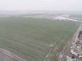 Teren agricol de vânzare, în Parţa