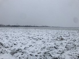 Teren agricol de vânzare, în Sanmihaiu Roman