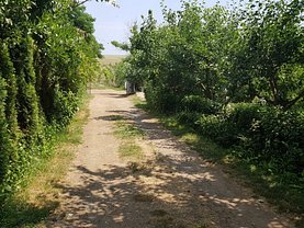 Teren agricol de vânzare, în Negru Voda