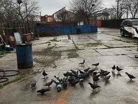 Teren constructii de vânzare, în Constanţa, zona Km 5