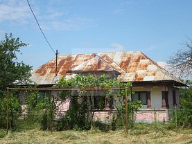 Casa de vânzare 3 camere, în Bradu