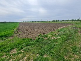 Teren constructii de vânzare, în Ştefăneştii Noi, zona Est