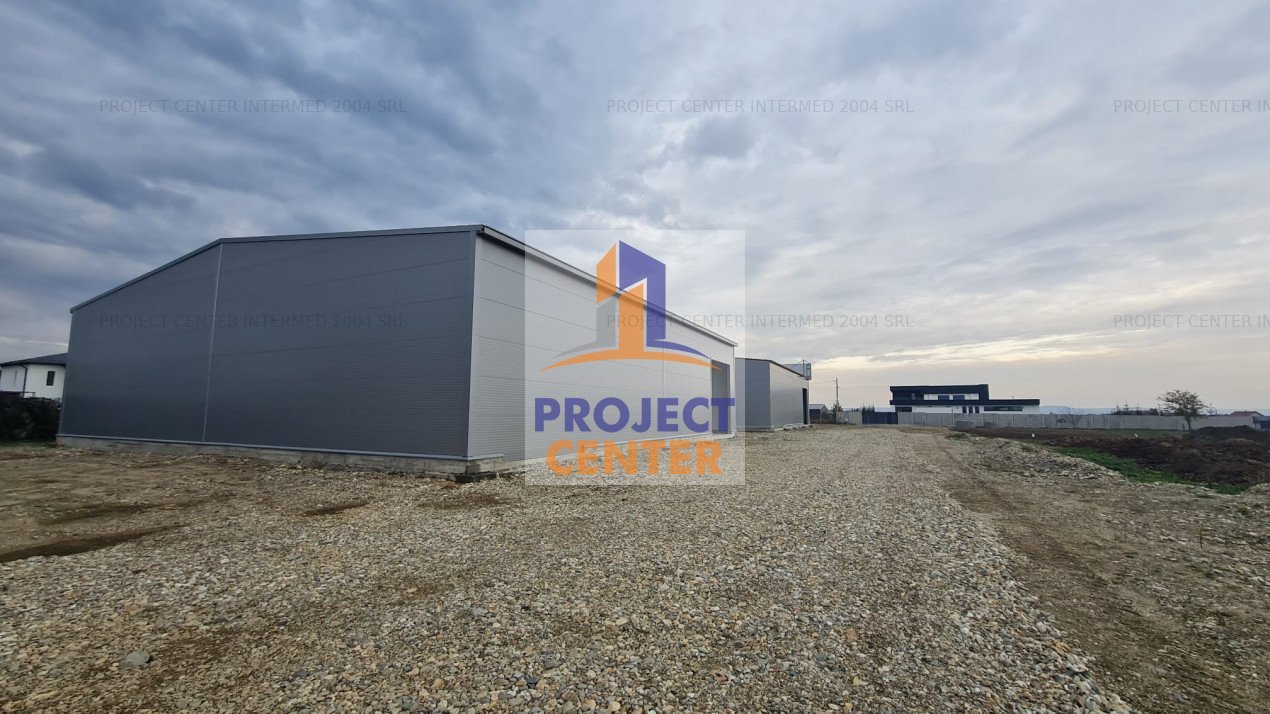 Hala industriala, Bradu, DN 65B