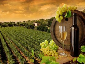 Teren agricol de vânzare, în Constanţa, zona Exterior Vest