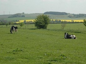 Teren pasune de vânzare, în Constanţa, zona Exterior Nord