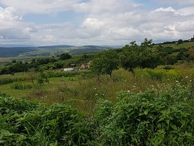 Teren agricol de vânzare, în Cluj-Napoca, zona Dambul Rotund