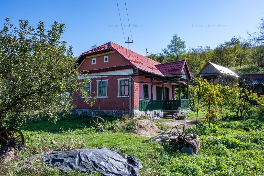 Casa de vanzare in Nasal, cu livada si acces la padure si lacuri-Taga