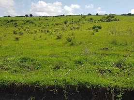 Teren agricol de vânzare, în Dezmir