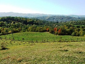 Teren agricol de vânzare, în Pucioasa, zona Exterior Nord