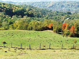 Teren agricol de vânzare în Pucioasa-Sat