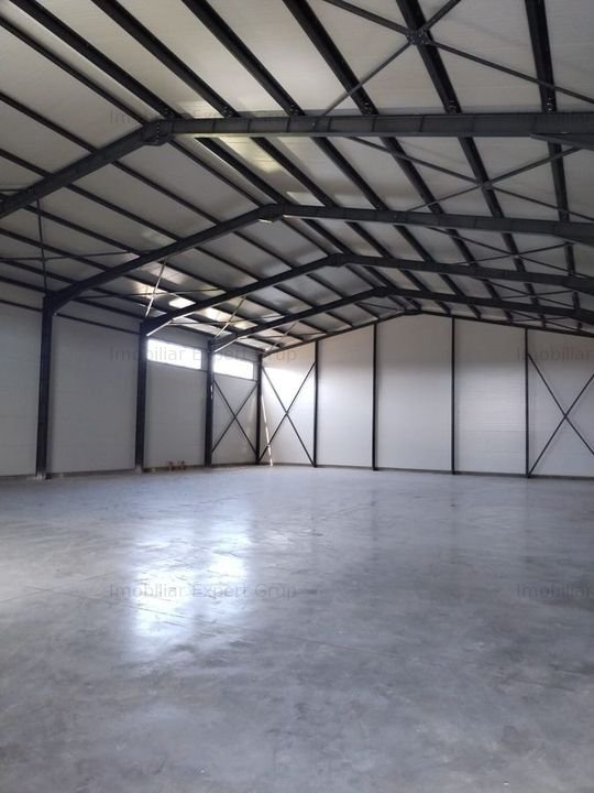 Zona Drumul Intre Tarlale - hala 600 mp cu teren 1500mp