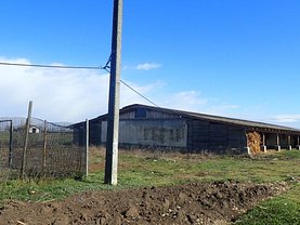 Vânzare spaţiu industrial