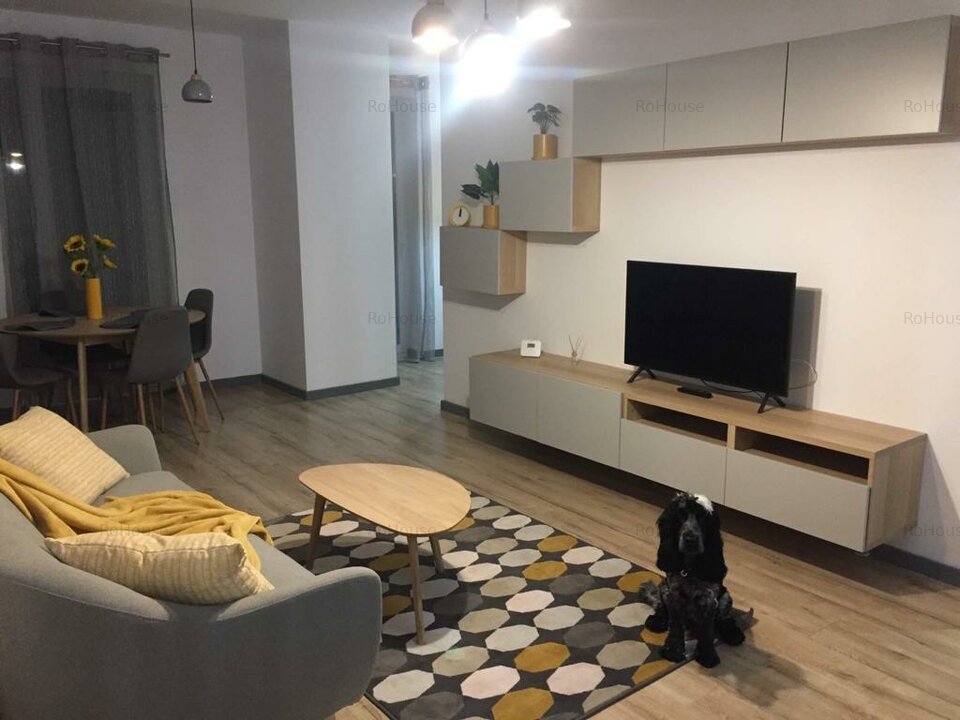 apartament cu 1 camera + loc de dormit, Centru
