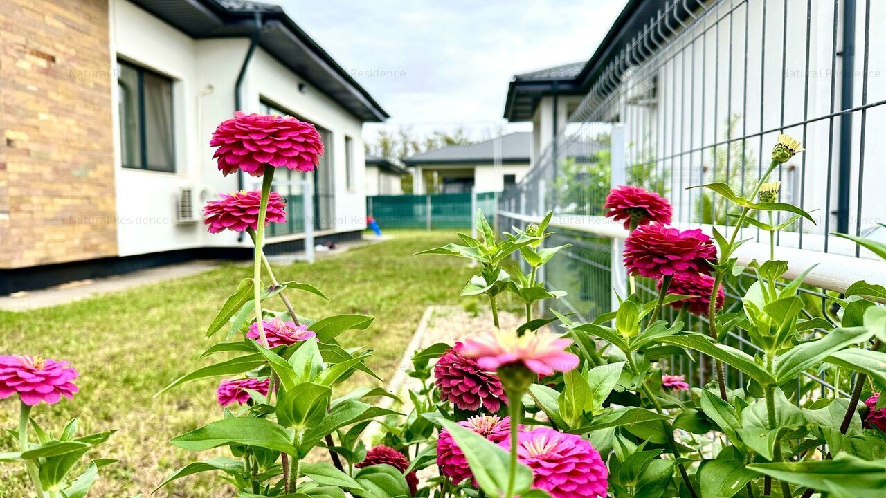Casa cu 3 dormitoare de inchiriat (petfriendly cu animale de talie mica)